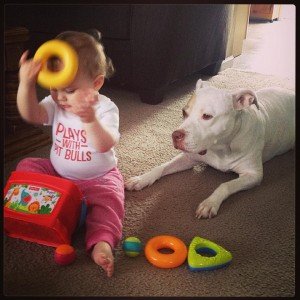 Plays with Pit Bulls